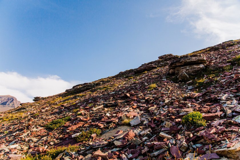 2018_August 7th_Piegan Mountain_Glacier National Park (59 of 218) downsized.jpg