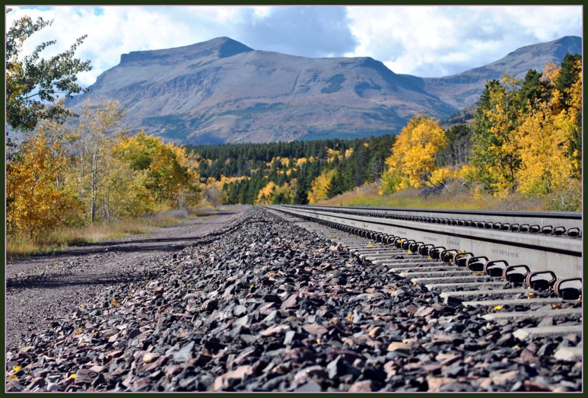 6864663235_0086edfe78_b